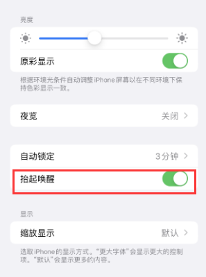 淮滨苹果授权维修站分享iPhone轻点无法唤醒怎么办