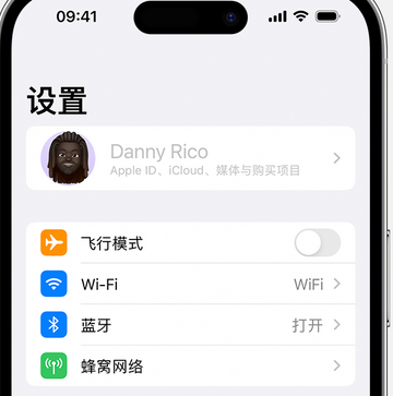 淮滨appleID维修服务iPhone设置中Apple ID显示为灰色无法使用