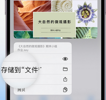 淮滨apple维修中心分享iPhone文件应用中存储和找到下载文件