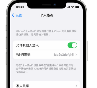 淮滨apple服务站点分享iPhone上个人热点丢失了怎么办 