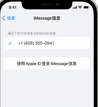 淮滨apple维修iPhone上无法正常发送iMessage信息