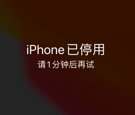 淮滨苹果手机维修分享:iPhone 显示“不可用”或“已停用”怎么办？还能保留数据吗？ 