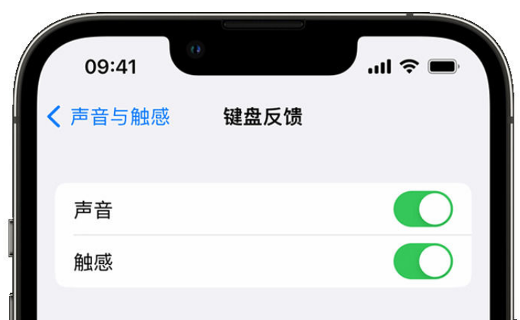 淮滨苹果手机维修分享iPhone 14触感键盘使用方法 