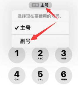 淮滨苹果14维修店分享iPhone 14 Pro Max使用副卡打电话的方法 