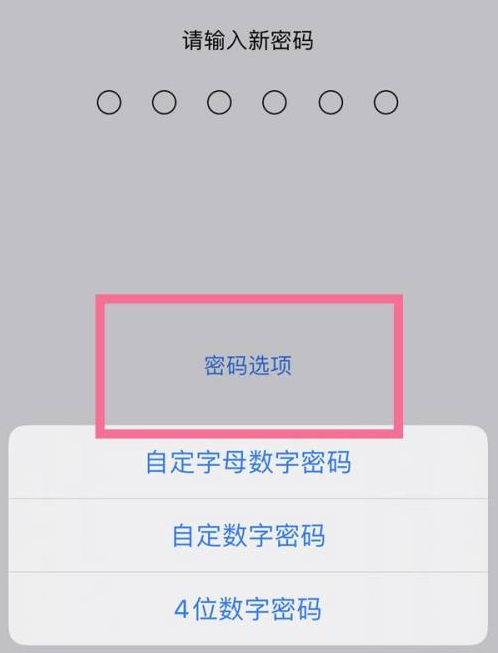 淮滨苹果14维修分享iPhone 14plus设置密码的方法 