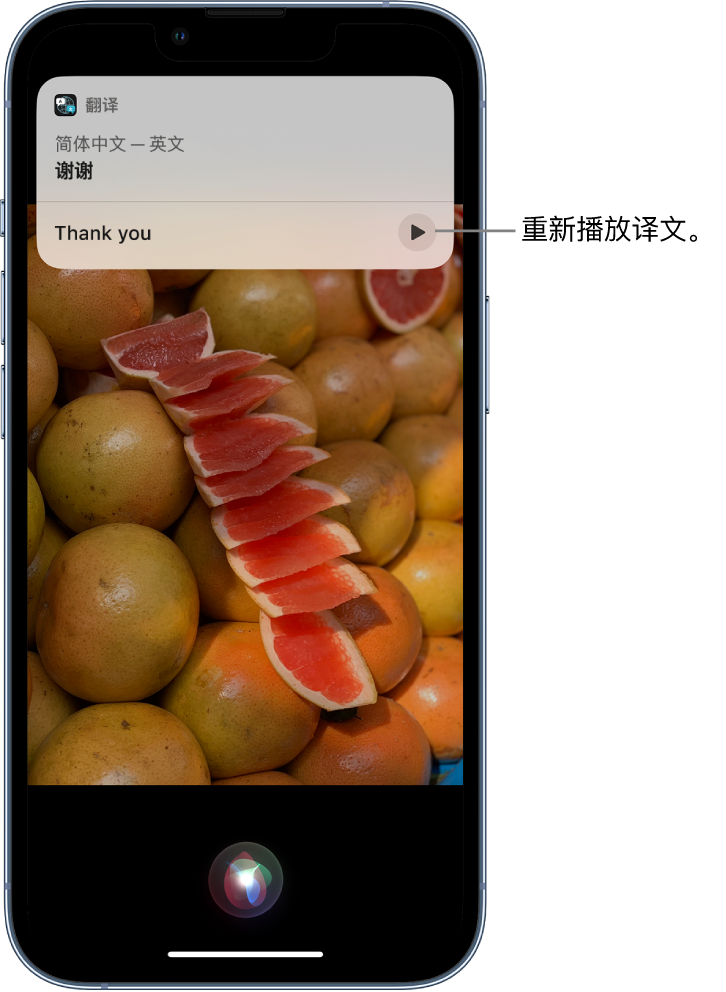 淮滨苹果14维修分享 iPhone 14 机型中使用 Siri：了解 Siri 能帮你做什么 