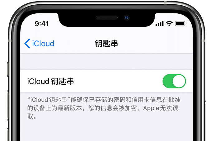 淮滨苹果手机维修分享在 iPhone 上开启 iCloud 钥匙串之后会储存哪些信息 