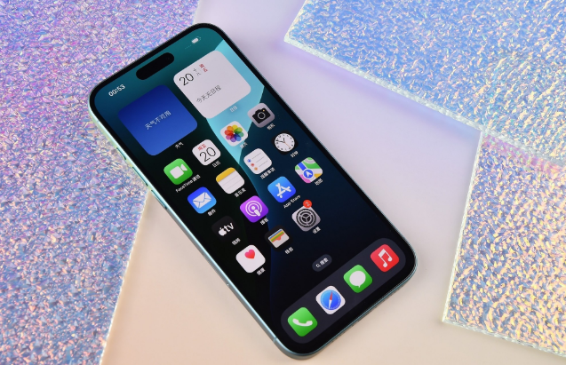 淮滨苹果手机维修分享为什么大家不喜欢苹果iPhone 16 Plus 