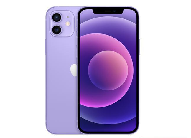 淮滨苹果手机维修分享现阶段要不要入手紫色版iPhone12 