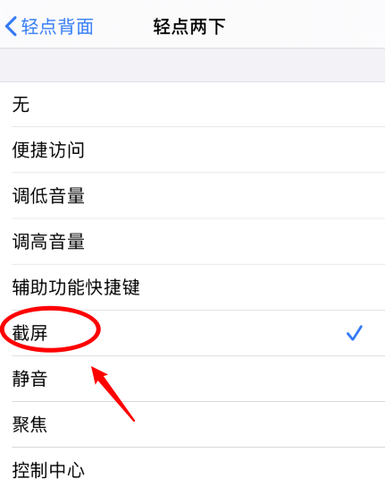 淮滨苹果手机维修分享iPhone12如何启用双击截屏 