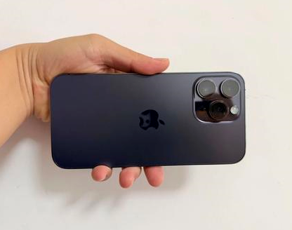 淮滨苹果维修点分享iPhone 14 Pro Max发烫多重诱因剖析 
